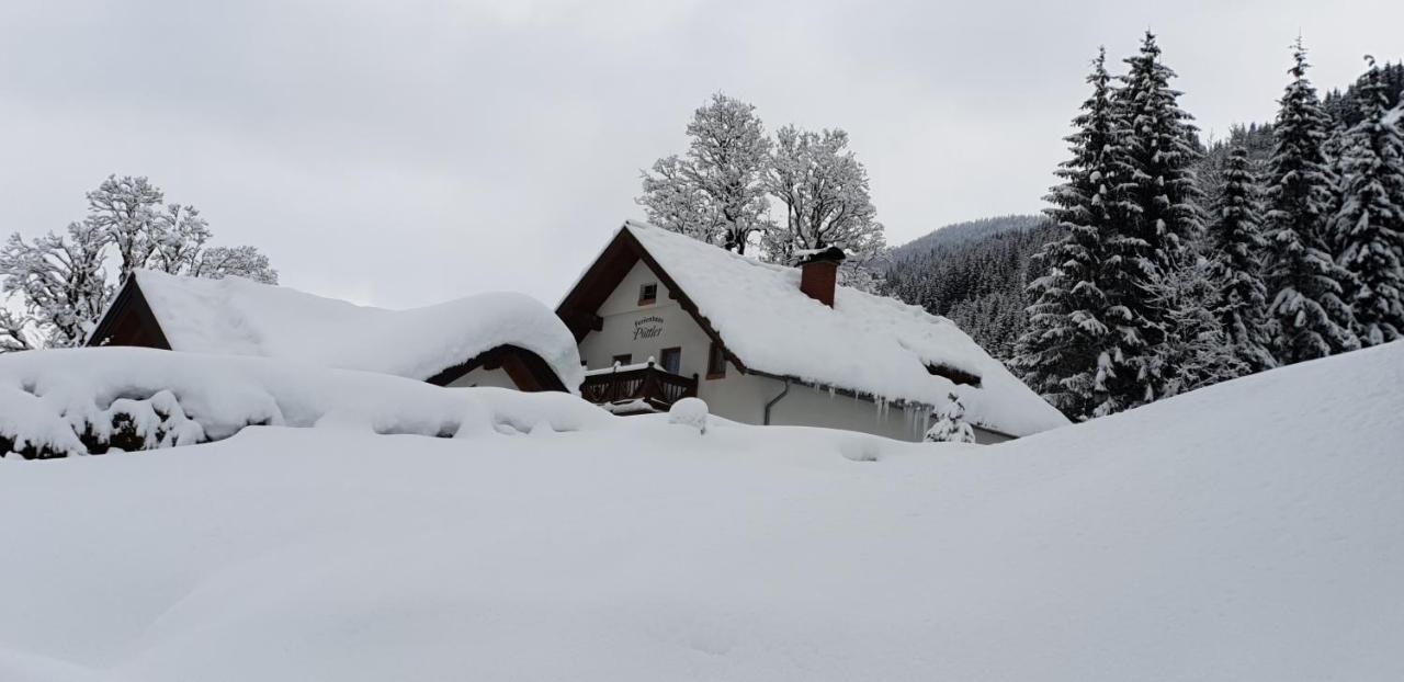 Ferienhaus Poettler Untertauern Luaran gambar